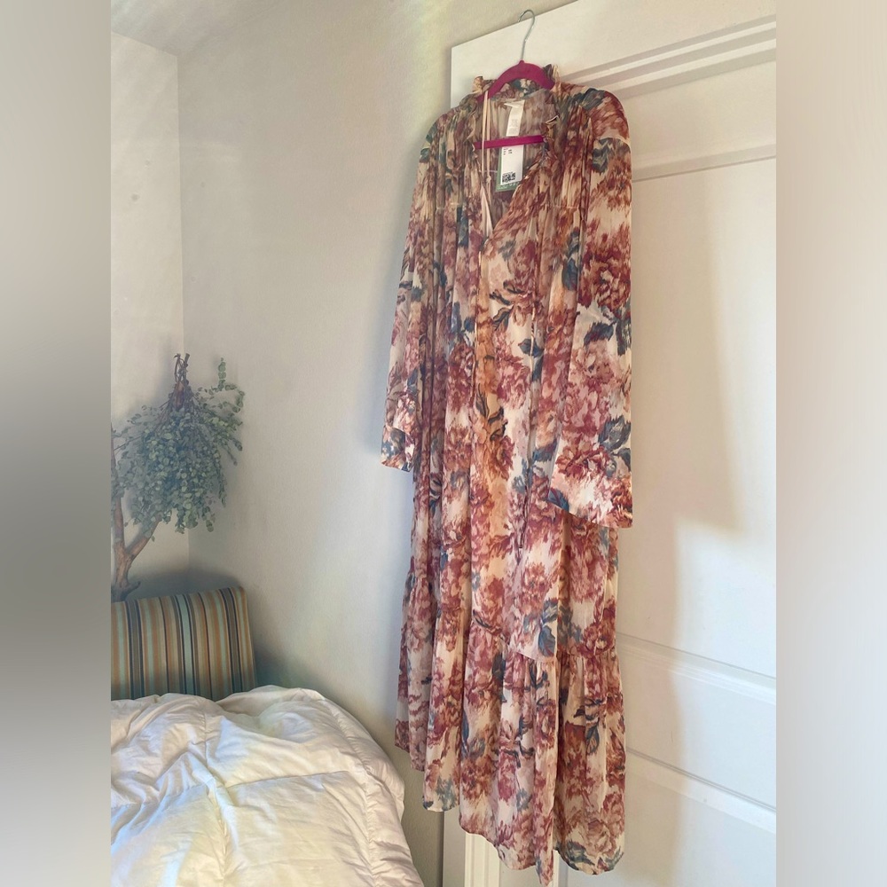 H&M Sheer Dress with white slip